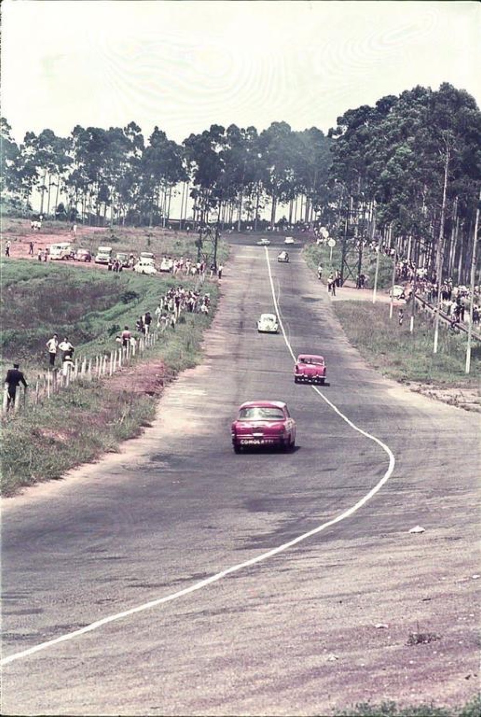 Corrida no antigo circuito de Interlagos, com carros de época entre eucaliptos